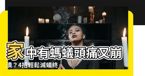 家中有蟻|家中突然出現很多小螞蟻怎麼辦？專家教你五招消滅家中小螞蟻、。